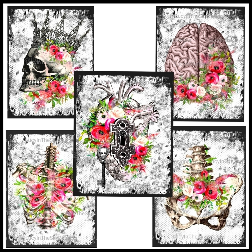 Anatomy & Wild Roses Gothic Chic Dark Academia Noir Art Print Set of Five